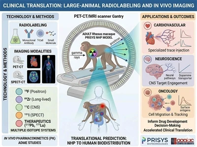 トランスレーショナル医薬品開発のための大型動物の放射性標識と生体内イメージング プラットフォーム-